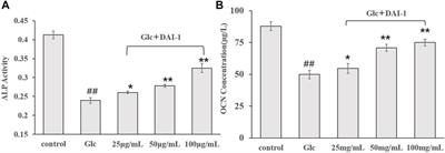 Identification of Polysaccharides From Dipsacus asperoides and Their Effects on Osteoblast Proliferation and Differentiation in a High-Glucose Environment